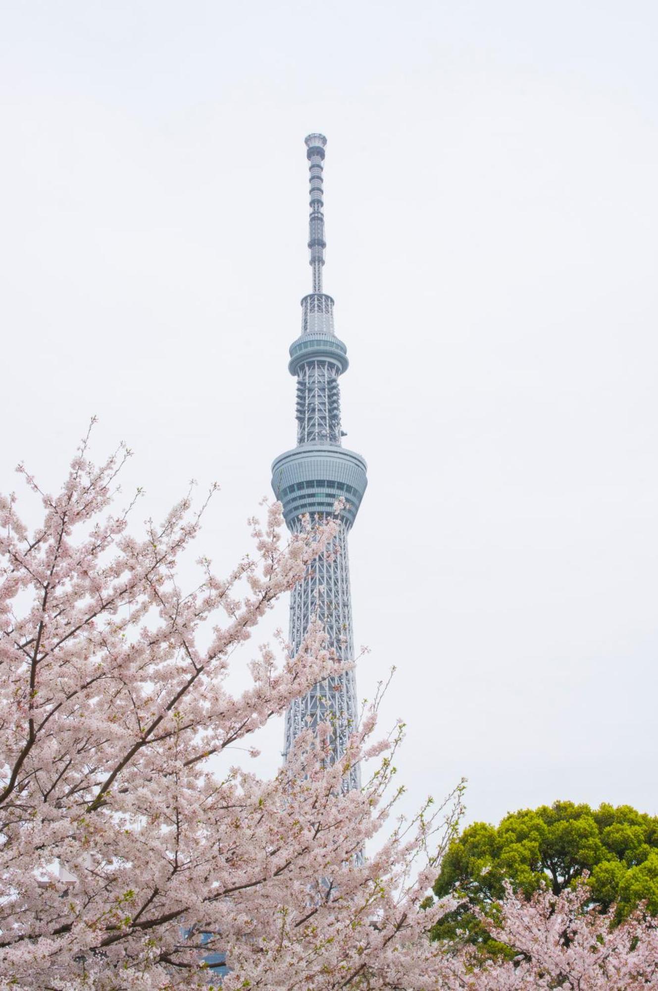 Hotel Varkin Annex Tokyo Bagian luar foto